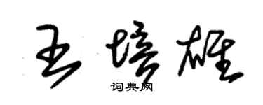 朱錫榮王培雄草書個性簽名怎么寫