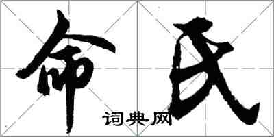 胡問遂命氏行書怎么寫