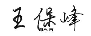 駱恆光王保峰行書個性簽名怎么寫