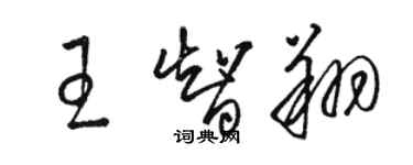 駱恆光王智翔草書個性簽名怎么寫