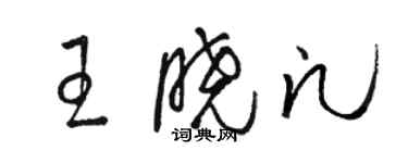 駱恆光王曉凡草書個性簽名怎么寫