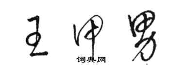 駱恆光王甲男草書個性簽名怎么寫