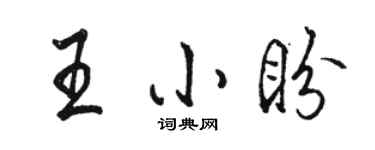 駱恆光王小盼行書個性簽名怎么寫