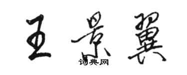 駱恆光王景翼行書個性簽名怎么寫