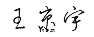 駱恆光王京宇草書個性簽名怎么寫