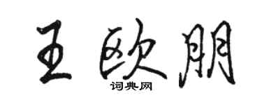 駱恆光王歐朋行書個性簽名怎么寫