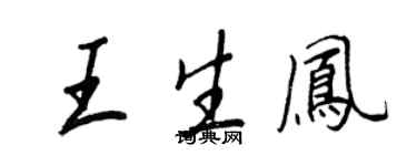 王正良王生鳳行書個性簽名怎么寫