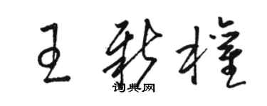 駱恆光王新權草書個性簽名怎么寫