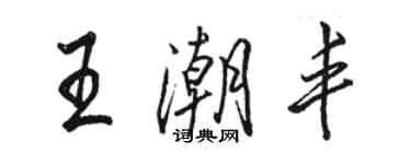 駱恆光王潮豐行書個性簽名怎么寫