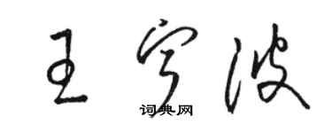 駱恆光王寧波草書個性簽名怎么寫