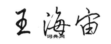 駱恆光王海宙行書個性簽名怎么寫