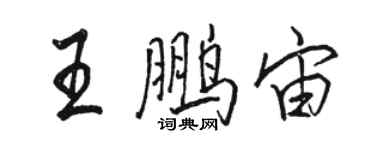 駱恆光王鵬宙行書個性簽名怎么寫