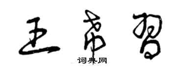 曾慶福王希習草書個性簽名怎么寫