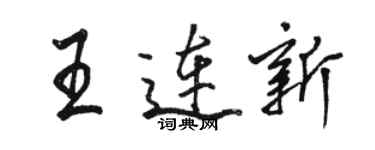 駱恆光王連新行書個性簽名怎么寫