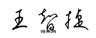 梁錦英王智捷草書個性簽名怎么寫