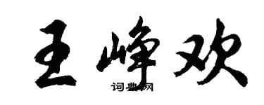 胡問遂王崢歡行書個性簽名怎么寫