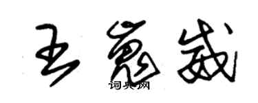 朱錫榮王嵬威草書個性簽名怎么寫