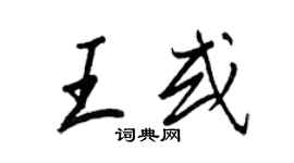 王正良王或行書個性簽名怎么寫