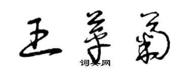 曾慶福王苹菊草書個性簽名怎么寫