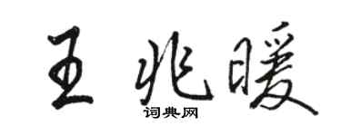 駱恆光王兆暖行書個性簽名怎么寫