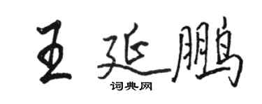 駱恆光王延鵬行書個性簽名怎么寫