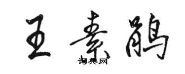 駱恆光王素鵑行書個性簽名怎么寫