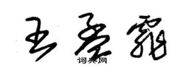 朱錫榮王孟霏草書個性簽名怎么寫