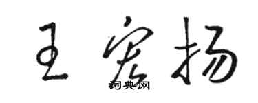 駱恆光王宏揚草書個性簽名怎么寫
