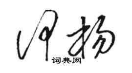 駱恆光何楊草書個性簽名怎么寫