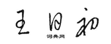 駱恆光王日初草書個性簽名怎么寫