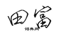 駱恆光田富行書個性簽名怎么寫