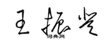 駱恆光王振登草書個性簽名怎么寫