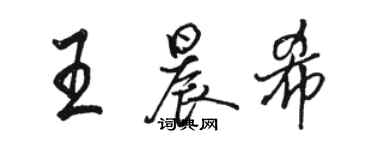 駱恆光王晨希行書個性簽名怎么寫