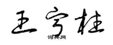 曾慶福王寧柱草書個性簽名怎么寫