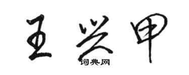 駱恆光王興甲行書個性簽名怎么寫