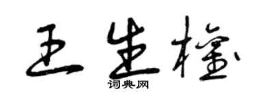 曾慶福王生權草書個性簽名怎么寫