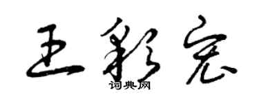 曾慶福王彩宏草書個性簽名怎么寫