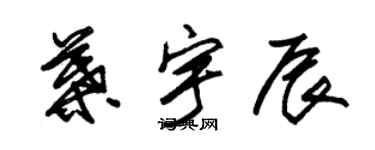 朱錫榮葉宇辰草書個性簽名怎么寫
