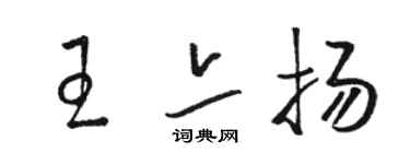 駱恆光王亦揚草書個性簽名怎么寫