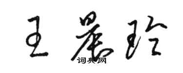 駱恆光王晨玲草書個性簽名怎么寫