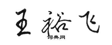 駱恆光王裕飛行書個性簽名怎么寫