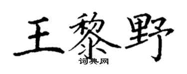 丁謙王黎野楷書個性簽名怎么寫