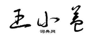 曾慶福王小益草書個性簽名怎么寫