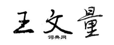 曾慶福王文量行書個性簽名怎么寫