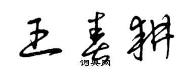 曾慶福王春耕草書個性簽名怎么寫