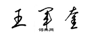 梁錦英王軍奎草書個性簽名怎么寫