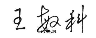 駱恆光王敏科草書個性簽名怎么寫