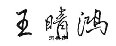 駱恆光王晴鴻行書個性簽名怎么寫