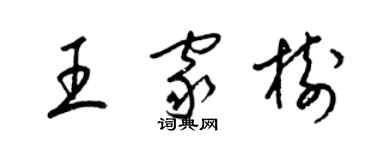 梁錦英王家樹草書個性簽名怎么寫