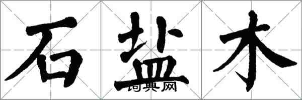 翁闓運石鹽木楷書怎么寫